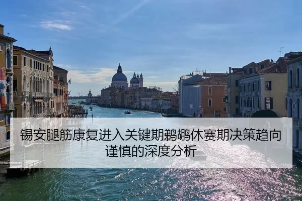 锡安腿筋康复进入关键期鹈鹕休赛期决策趋向谨慎的深度分析