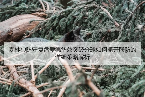 森林狼防守复盘爱德华兹突破分球如何撕开联防的详细策略解析