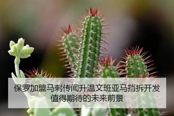 保罗加盟马刺传闻升温文班亚马挡拆开发值得期待的未来前景