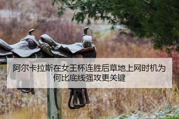 a-er-ka-la-si-zai-nv-wang-bei-lian-sheng-hou-cao-di-shang-wang-shi-ji-wei-he-bi-di-xian-qiang-gong-geng-guan-jian-2-479.jpg