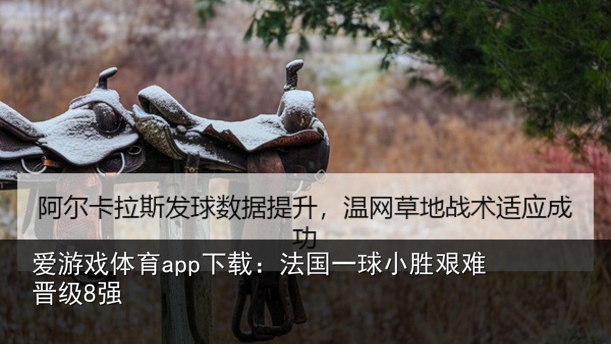 爱游戏体育app下载：法国一球小胜艰难晋级8强