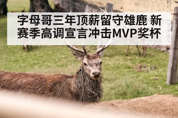 字母哥三年顶薪留守雄鹿 新赛季高调宣言冲击MVP奖杯